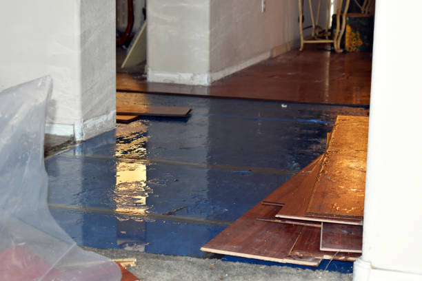 Professional Emergency Water Damage Restoration technician working in Cambridge, WI